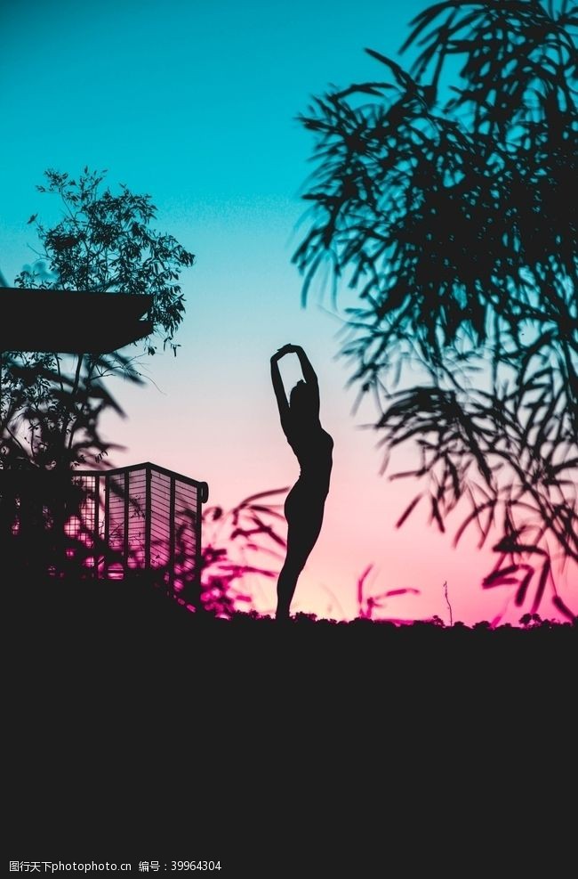摄影图库落日树林下瑜伽女人图片