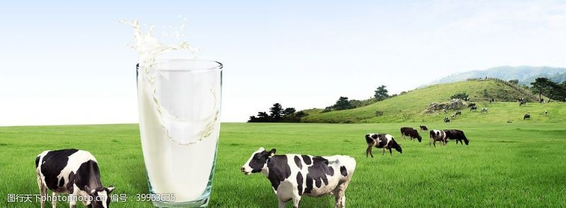 绿色清新背景牛奶图片