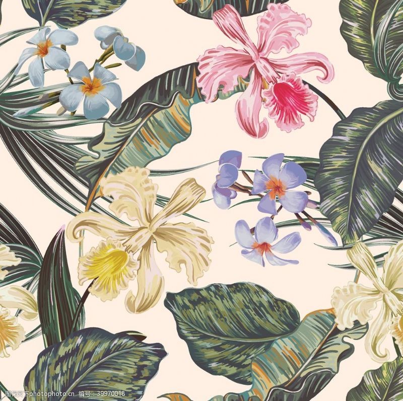 植物涂鸦素材热带雨林植物椰树花朵鸟图片