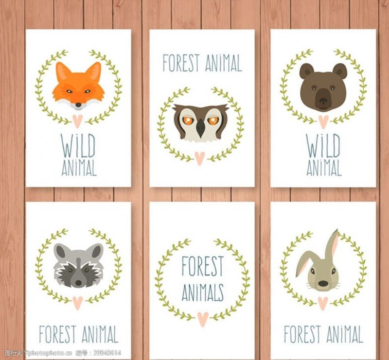 猫头鹰森林动物头像卡片图片