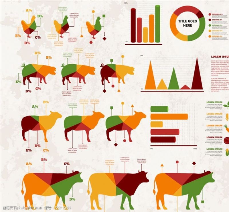 畜牧业商务信息图矢量图片