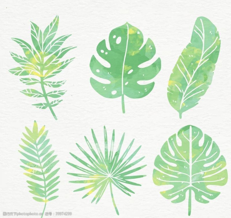 矢量树叶水彩绘绿色棕榈树图片