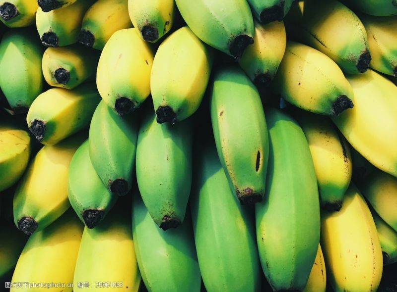 香蕉展架香蕉图片