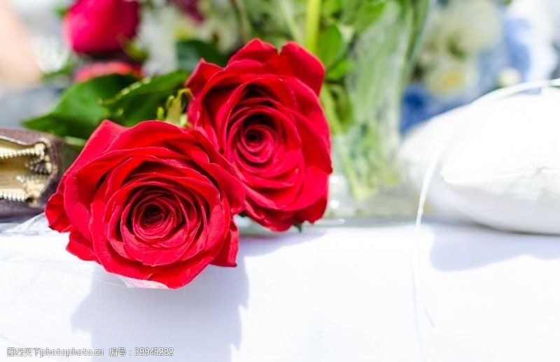红色玫瑰花鲜艳的玫瑰图片