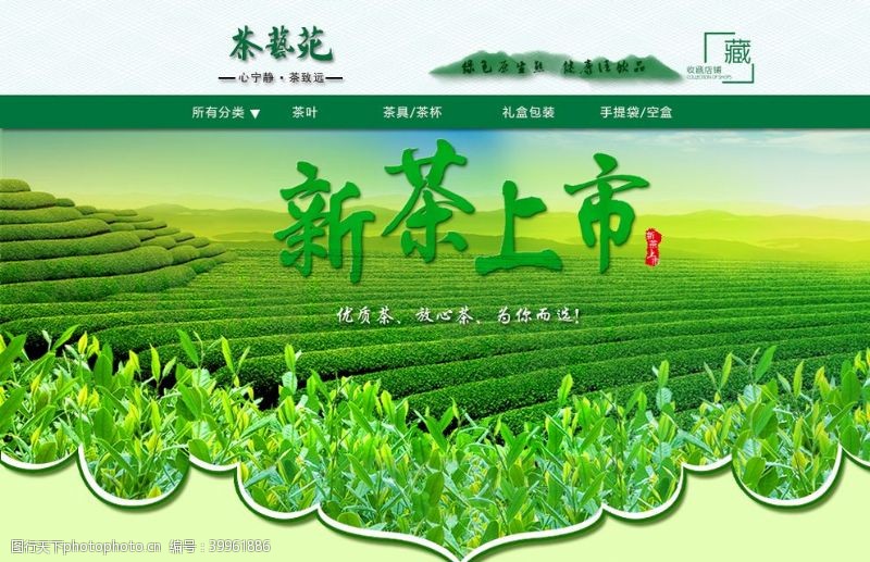 中国风茶新茶图片
