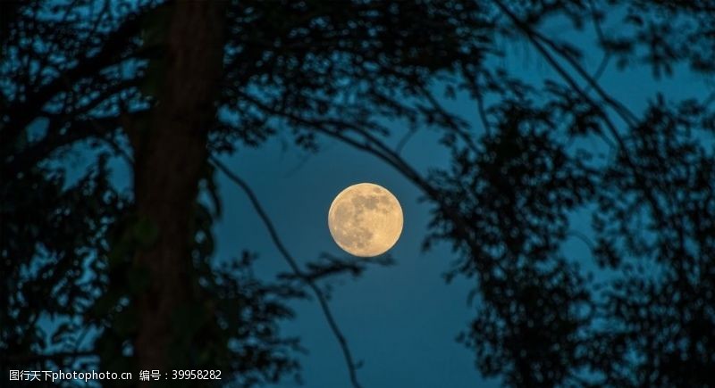 夜晚的天空月亮月球图片