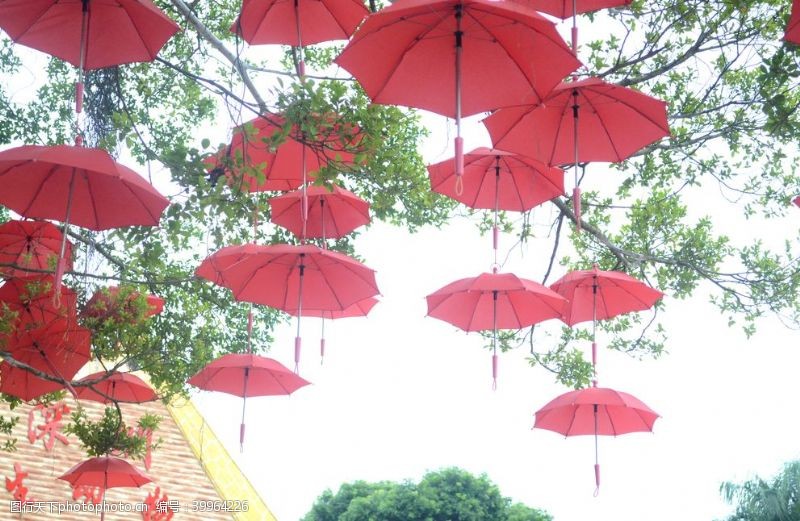 太阳花雨伞图片