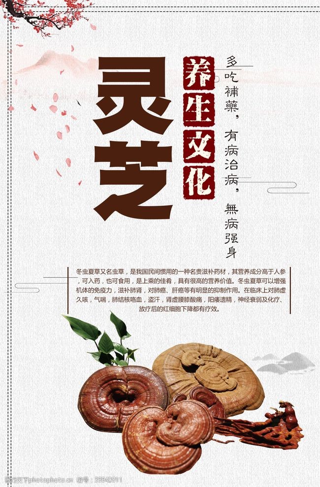 中医海报中医文化挂图图片