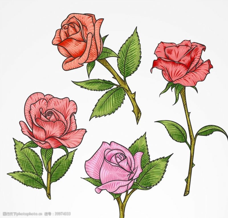 玫瑰花矢量素材彩色单枝玫瑰花图片