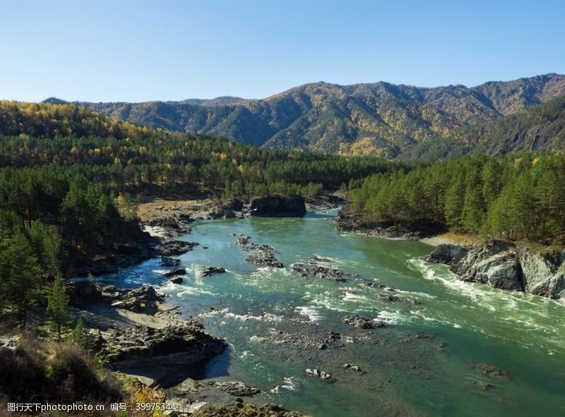 绿色草地江河溪流图片