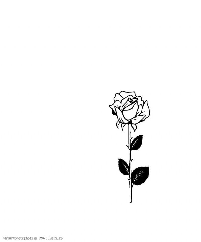 玫瑰矢量图矢量黑色玫瑰花图片