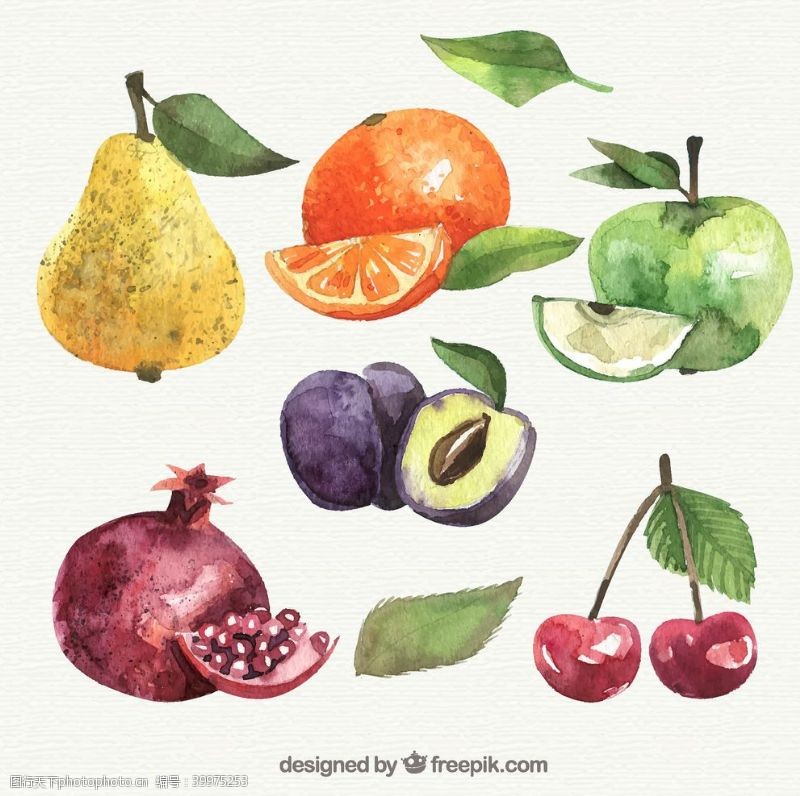 矢量水果水彩绘水果图片