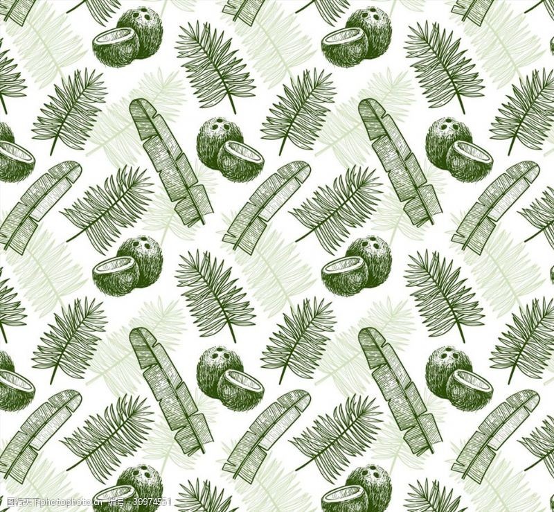 矢量椰子树树叶和椰子背景图片