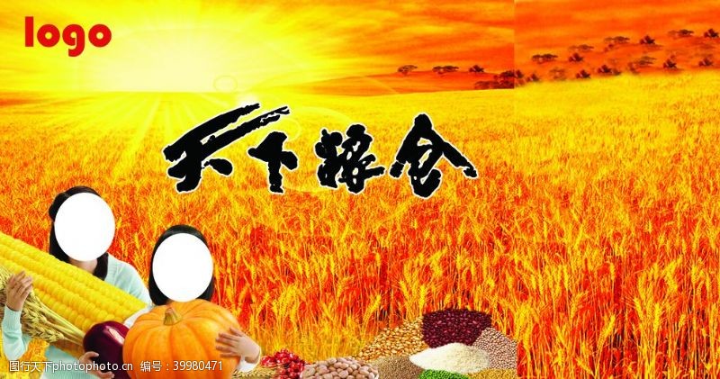 稻米天下粮仓图片