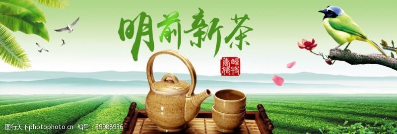 茶叶素材新茶图片