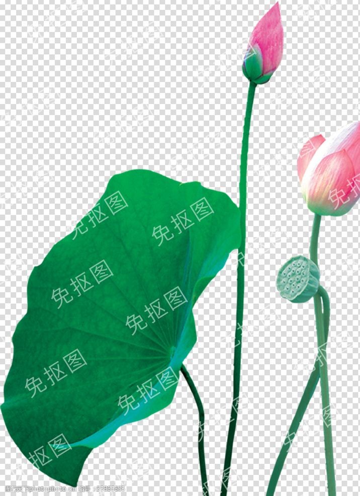 绣花中国风高清PNG免抠不分层图片