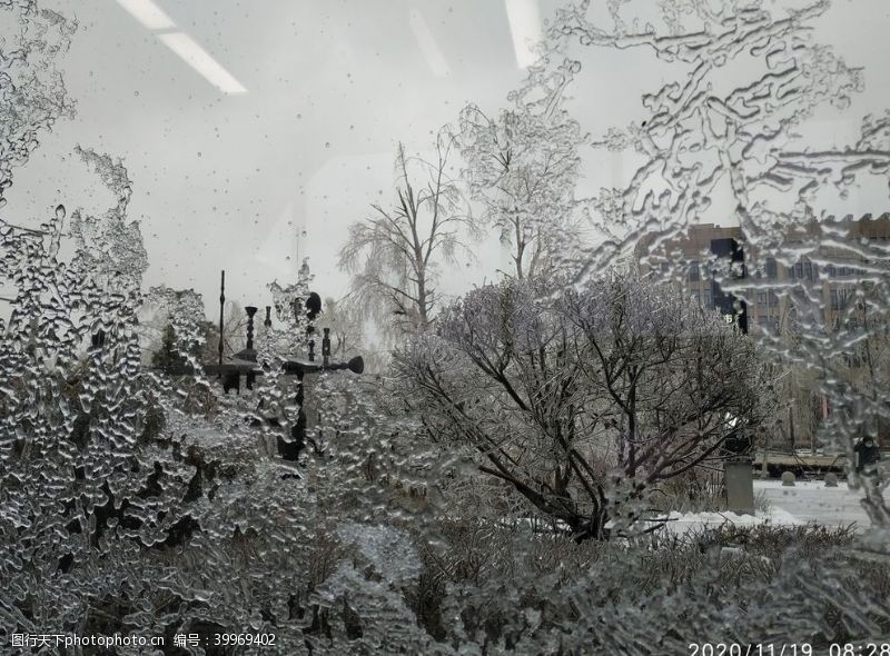 窗棂冰包树冻雨冰冻树凝固图片