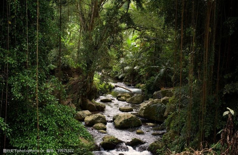 绿色草地江河溪流图片