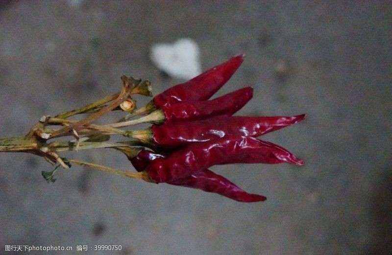 青花椒辣椒图片