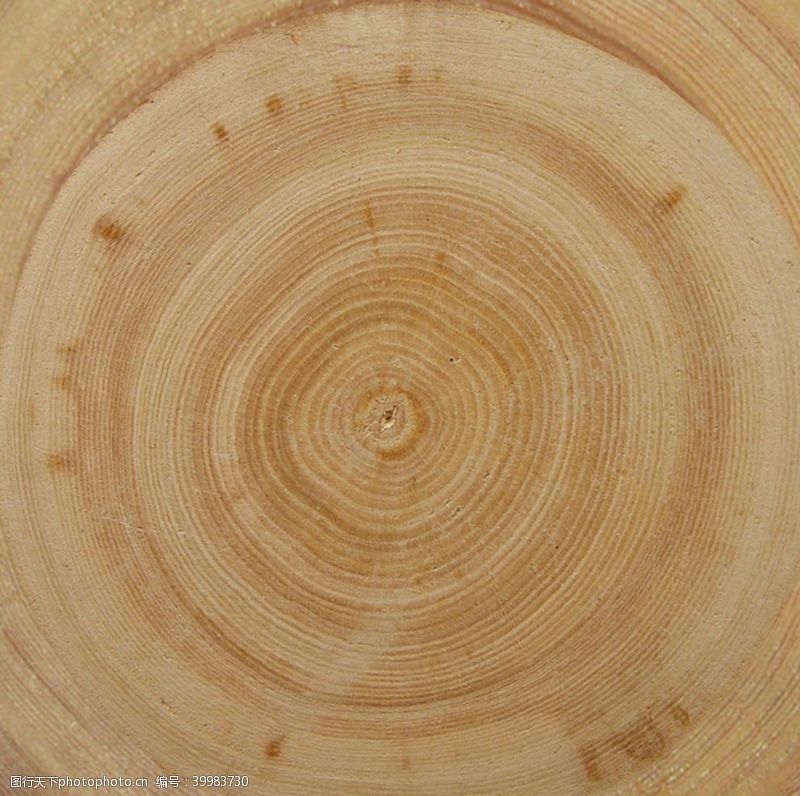 木纹素材年轮木纹图片