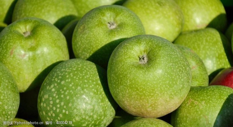 绿树标签青苹果图片
