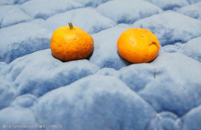 橘子砂糖桔图片