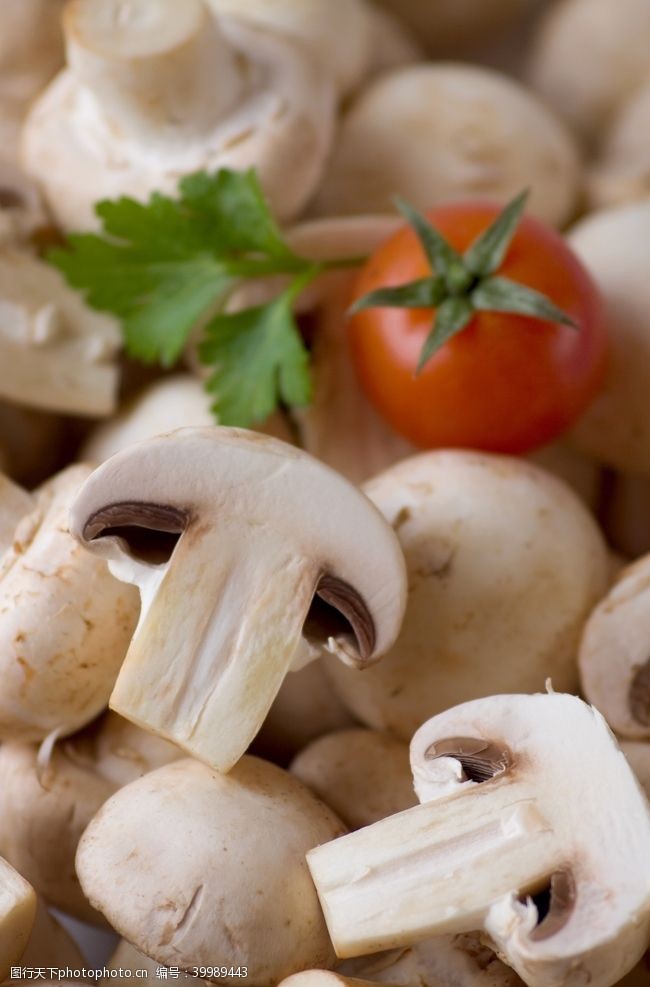 大棚食用蘑菇图片