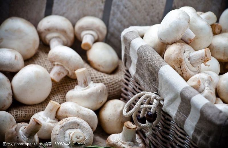 菇类食用蘑菇图片