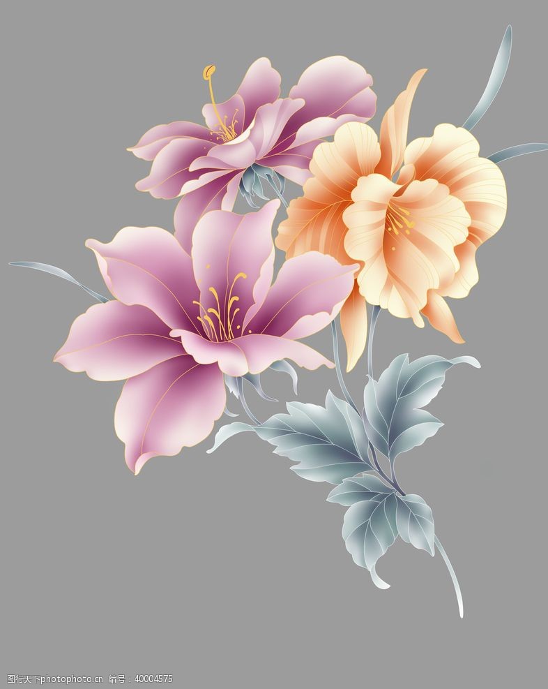 热带植物手绘花图片