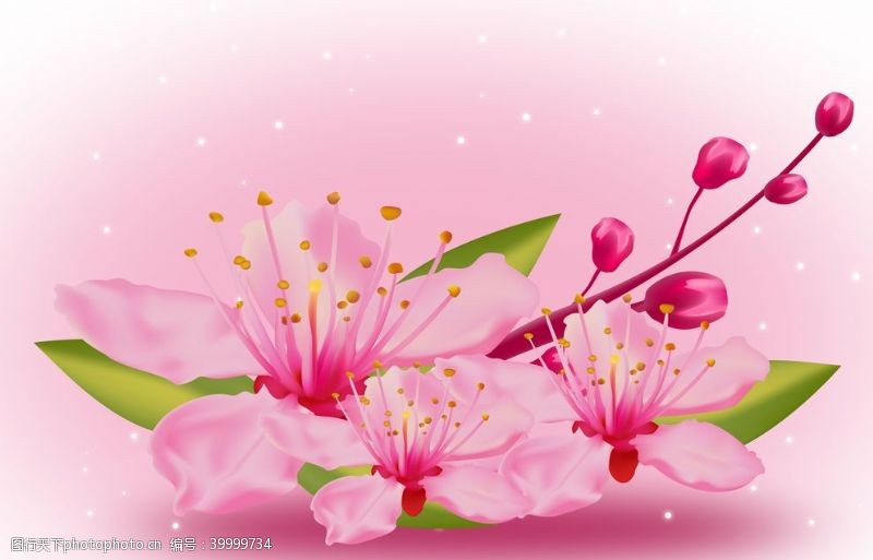 桃花背景手绘樱花图片