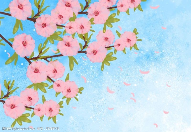 樱花节素材手绘樱花图片