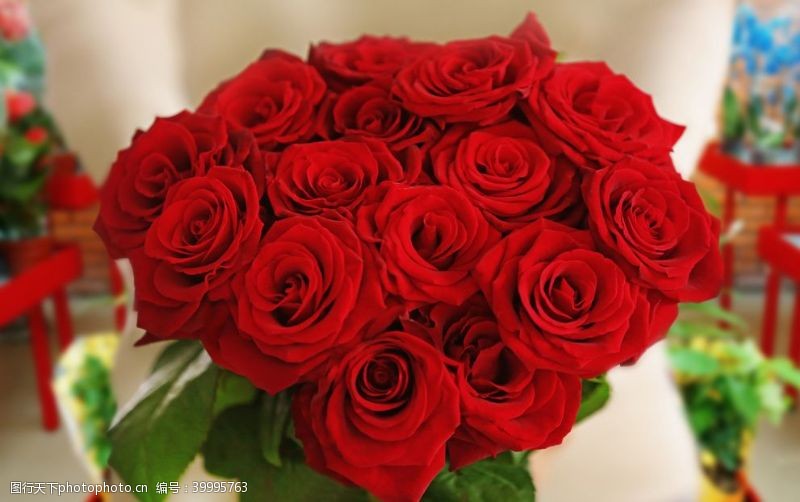 浪漫花卉唯美玫瑰花束图片