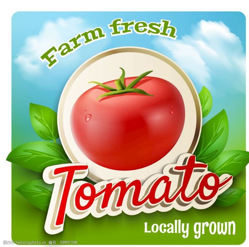 蔬菜超市展板番茄蔬菜水果图片