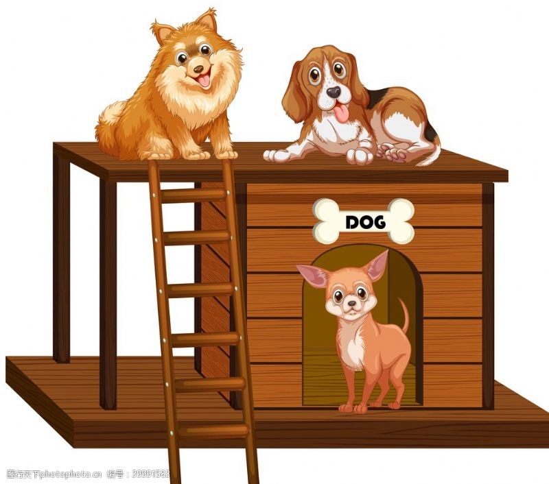 流浪动物狗动物卡通图片