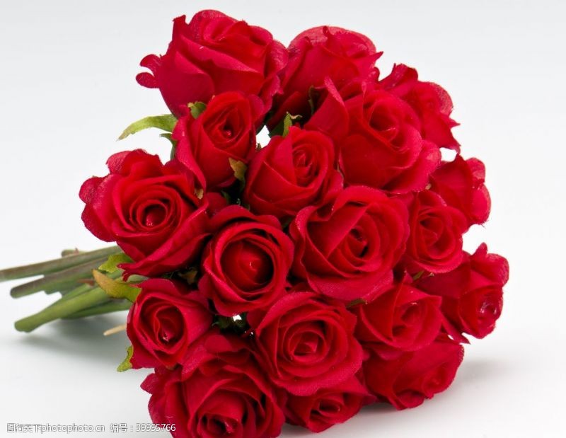 情人节装饰红色玫瑰花束近景拍摄素材图片
