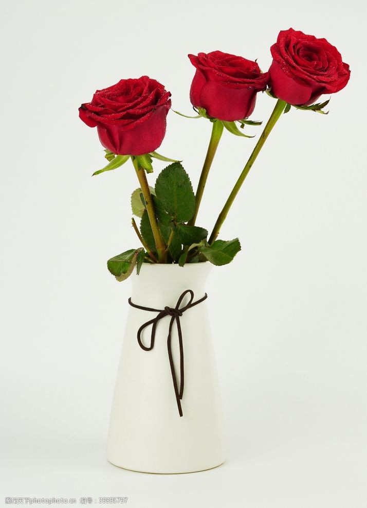 红玫瑰花瓶里的玫瑰图片