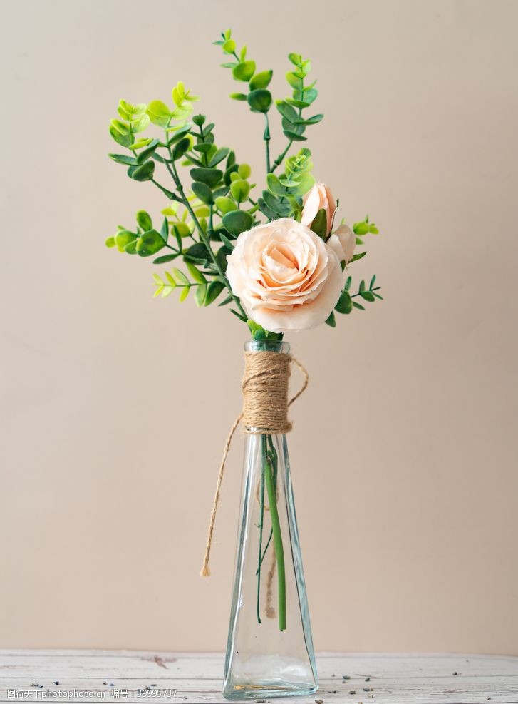 浅绿色花瓶里的浅粉色玫瑰拍摄特写图片