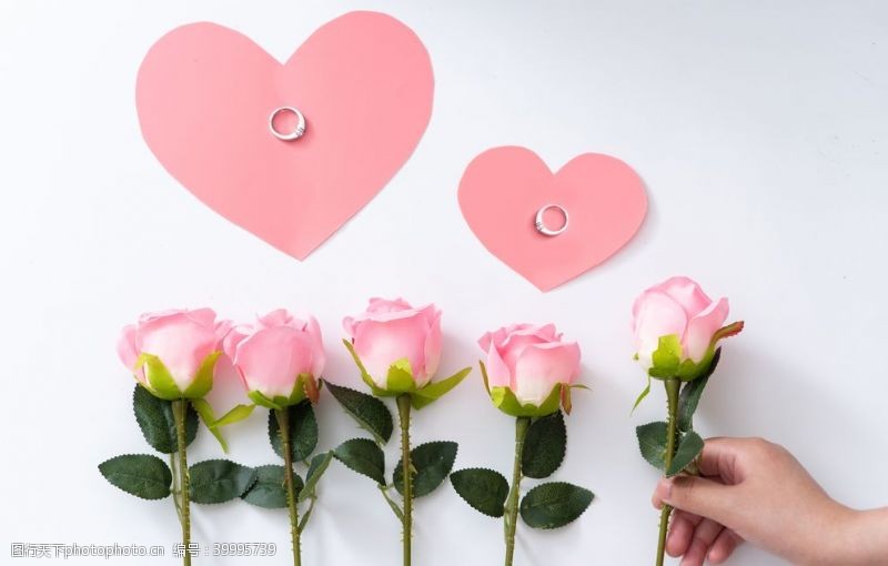 电脑壁纸浪漫唯美粉色玫瑰拍摄素材图片