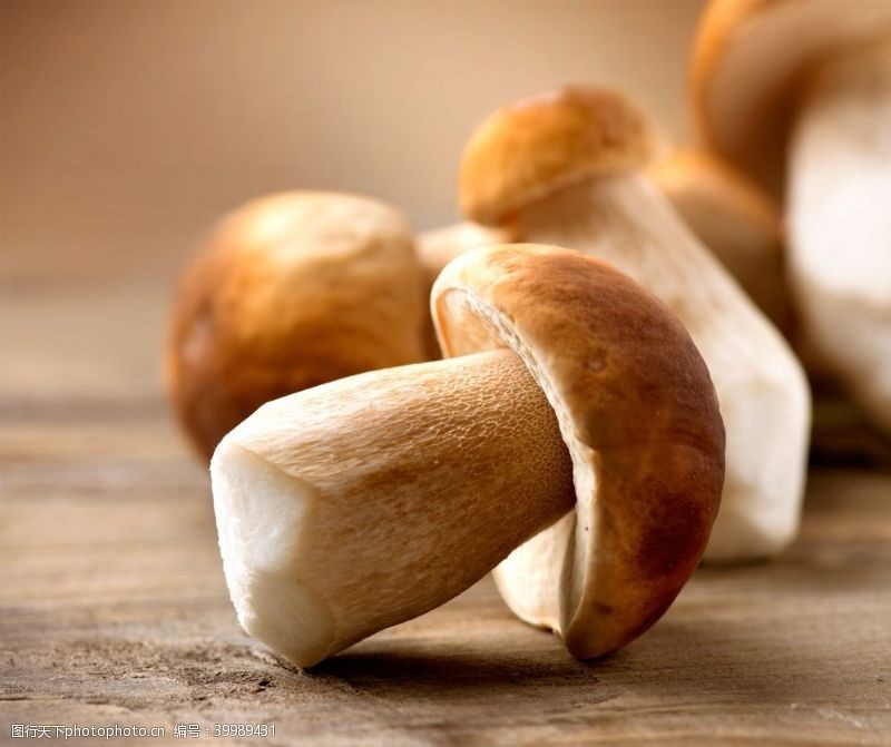 食用菌食用蘑菇图片