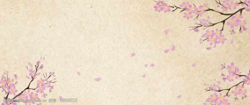 淡雅手绘樱花图片