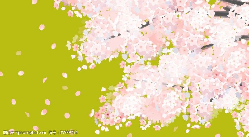 春游手绘樱花图片
