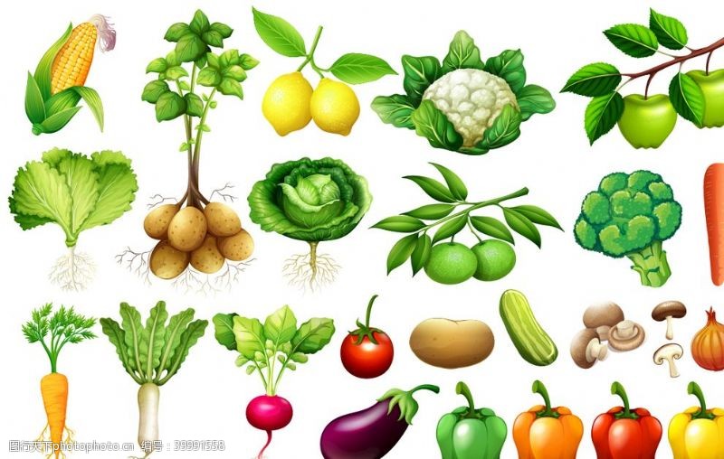果蔬挂画蔬菜水果图片
