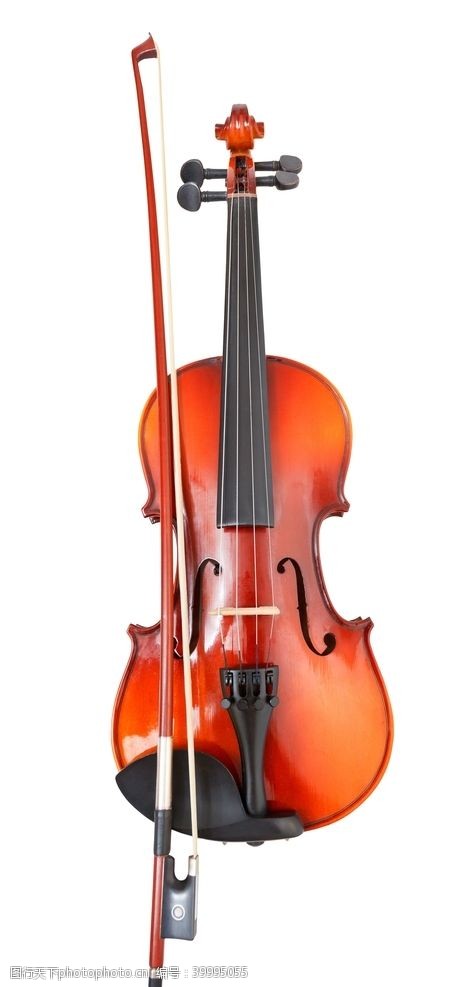 乐器图片小提琴图片
