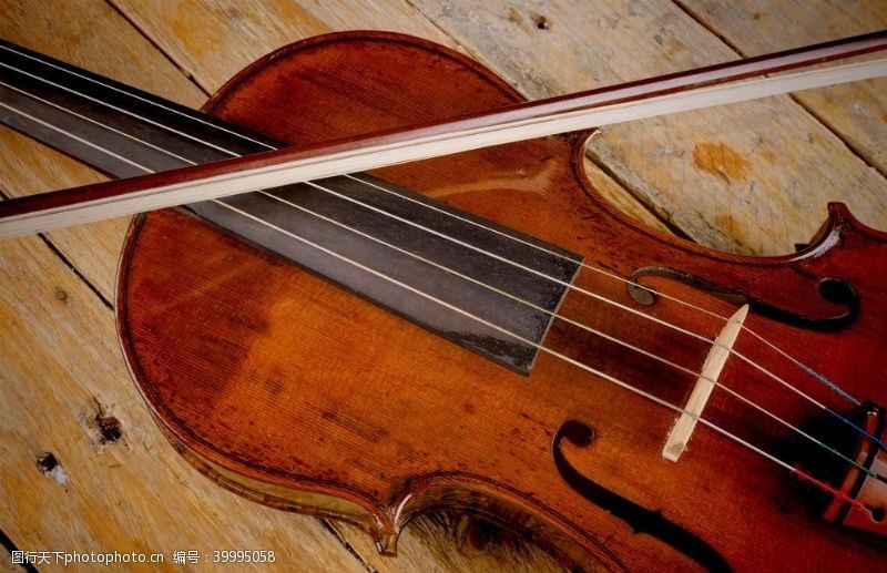 音乐乐器小提琴图片