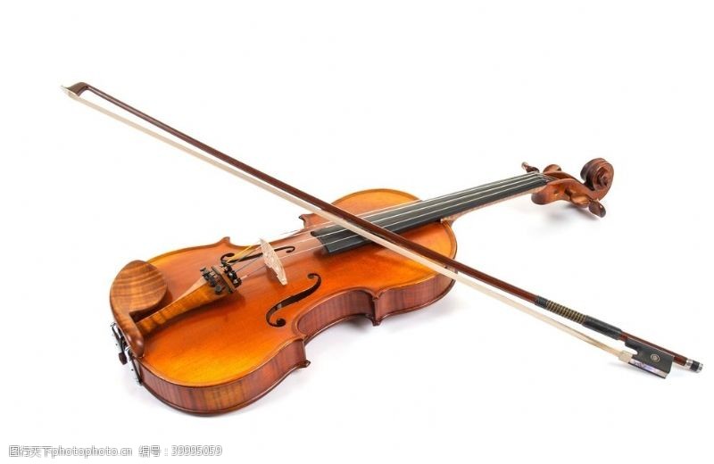 艺术班小提琴图片