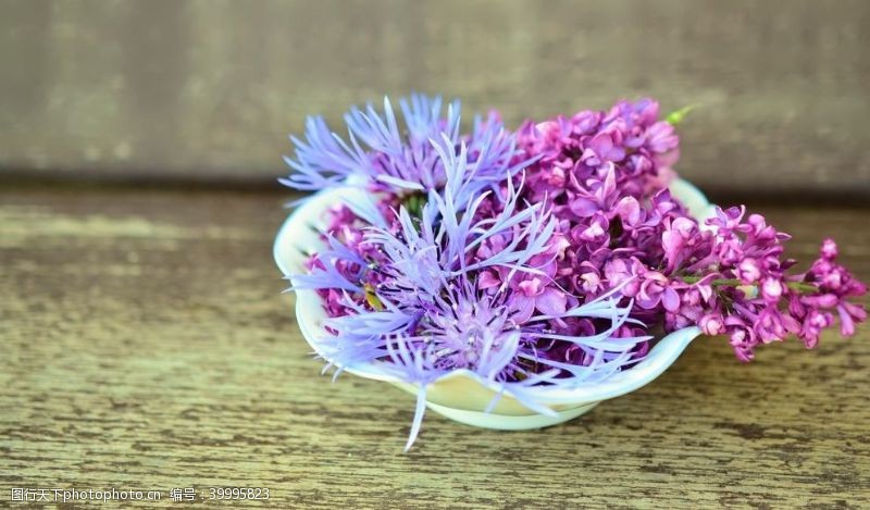 浪漫花卉紫丁香图片
