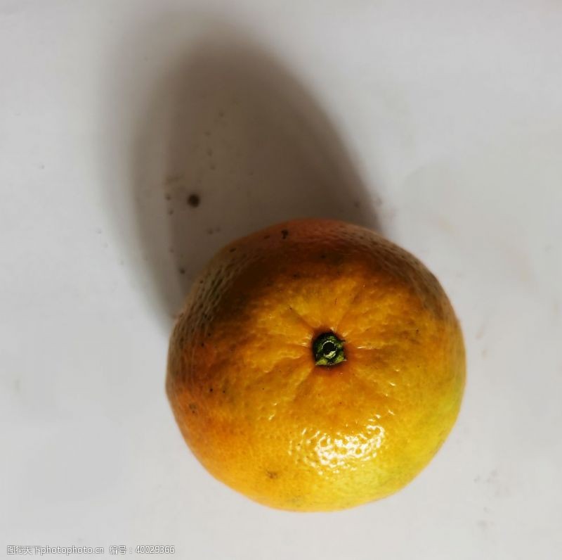 蜜橘橙图片