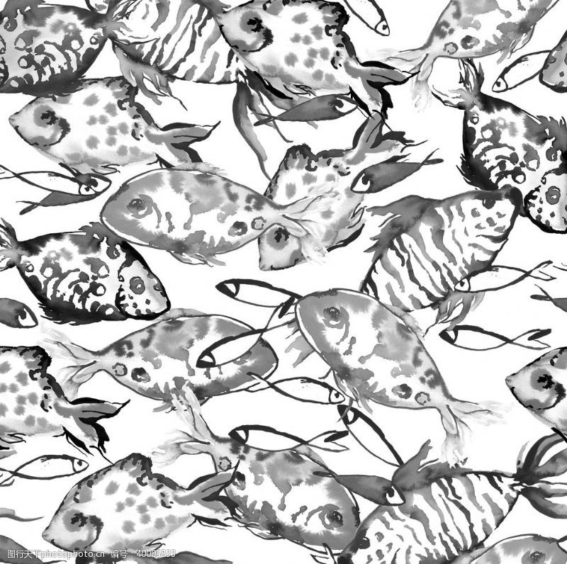 海洋背景墙海鱼海洋海底世界各种鱼图片
