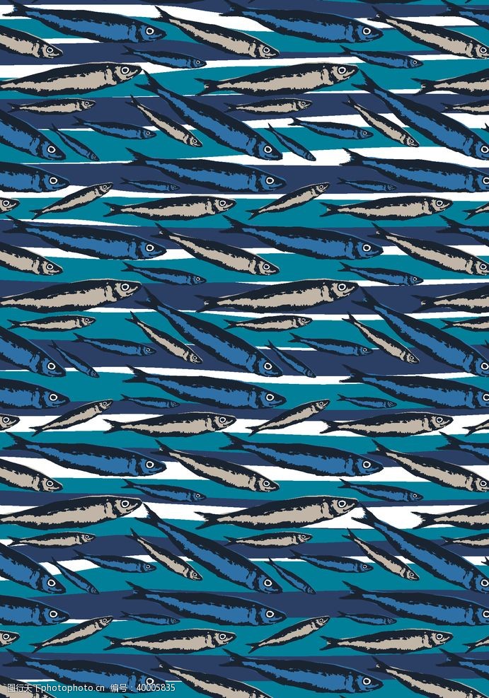 鱼纹海鱼海洋海底世界各种鱼图片