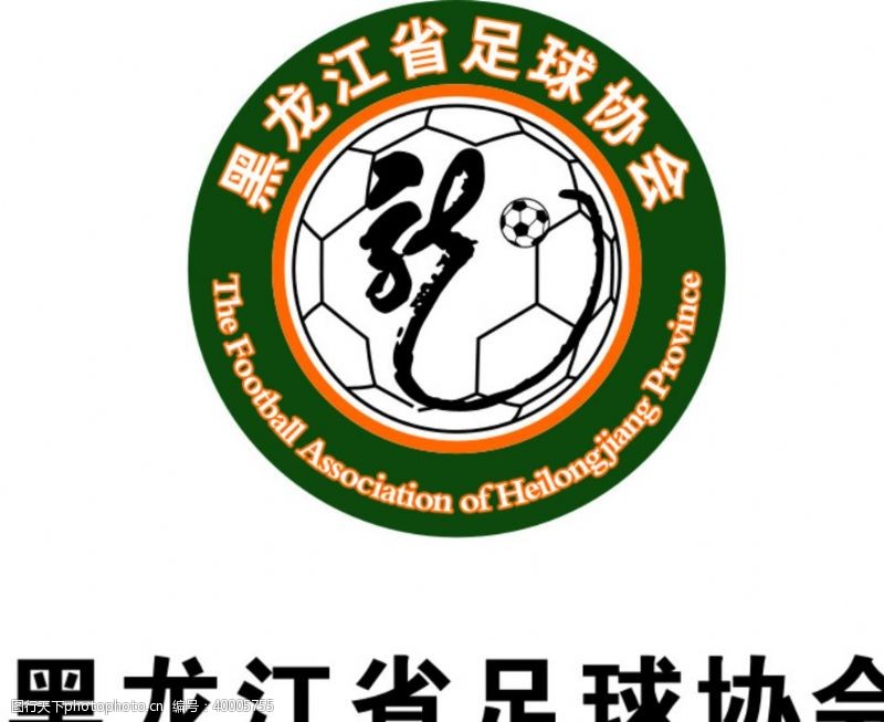 龙标志黑龙江省足球协会图片